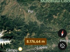 Padure, 40500 mp, jud. Hunedoara